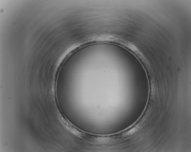 X0000062841232200601201630