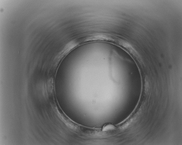 X0000062841233200601201630