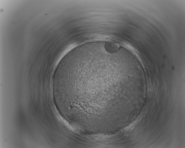 X0000062841235200601201630