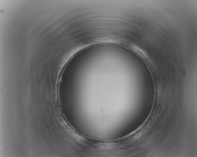 X0000062841236200601201630