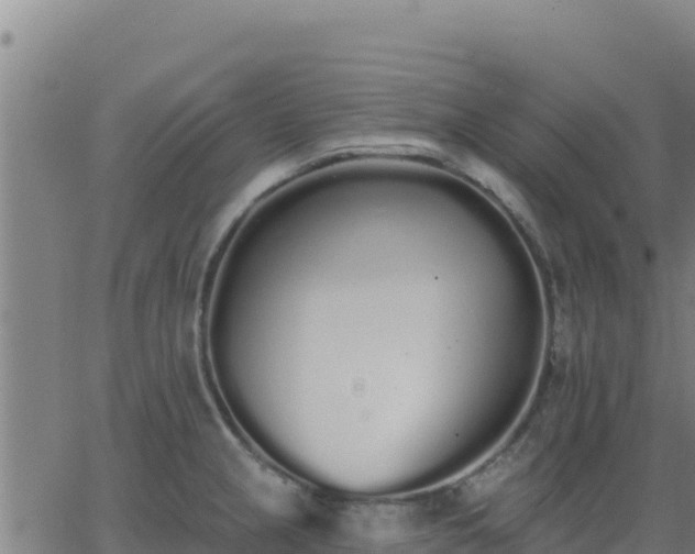 X0000062841237200601201630