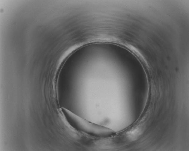 X0000062841238200601201630