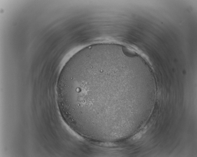 X0000062841239200601201630