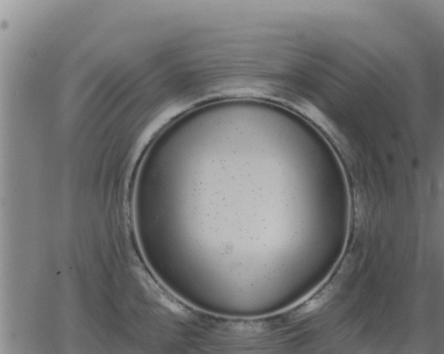 X0000062841240200601201630