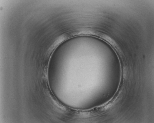 X0000062841241200601201630