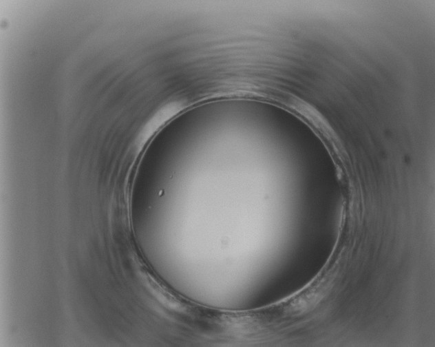 X0000062841242200601201630