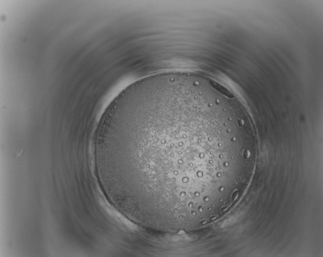 X0000062841243200601201630