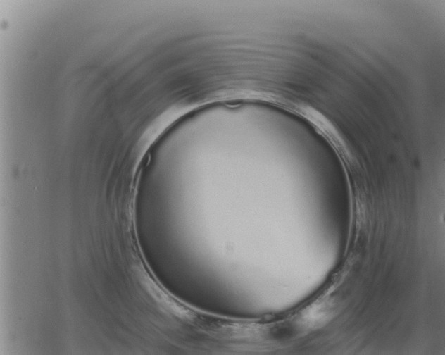 X0000062841244200601201630