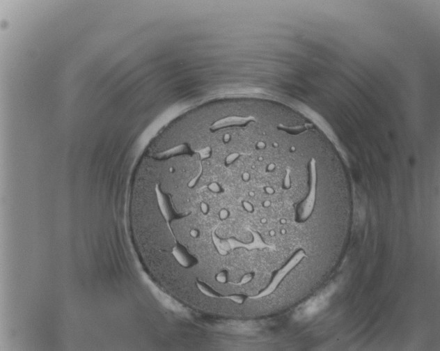 X0000062841245200601201630