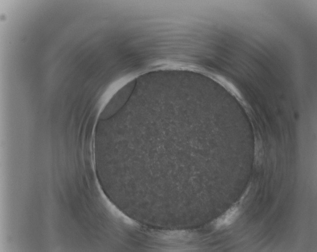 X0000062841247200601201630