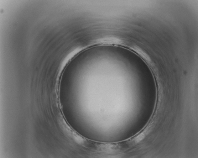 X0000062841248200601201630