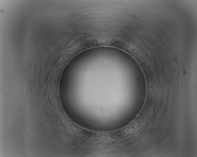 X0000062841249200601201629