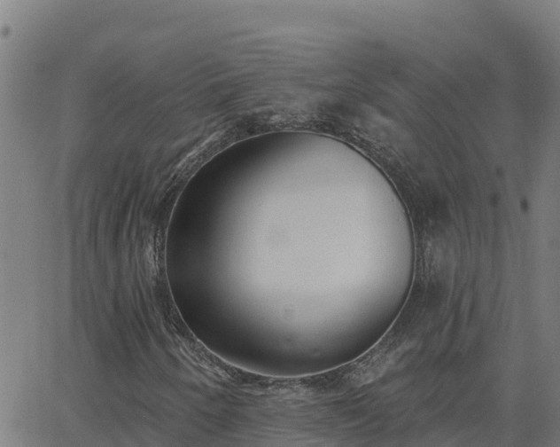 X0000062841250200601201629