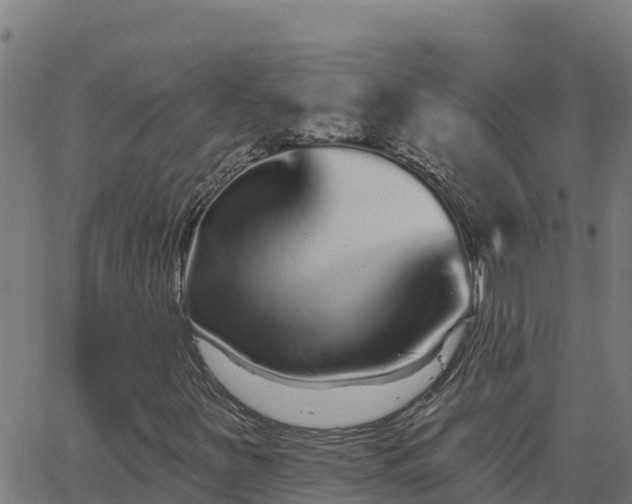 X0000062841251200601201629