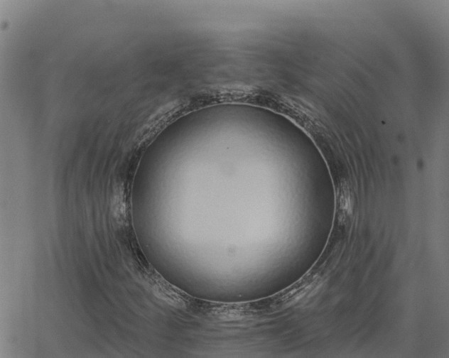 X0000062841252200601201629