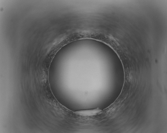 X0000062841253200601201629