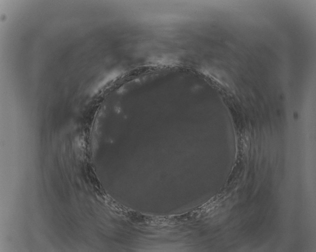 X0000062841254200601201629