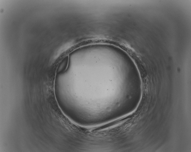 X0000062841255200601201629