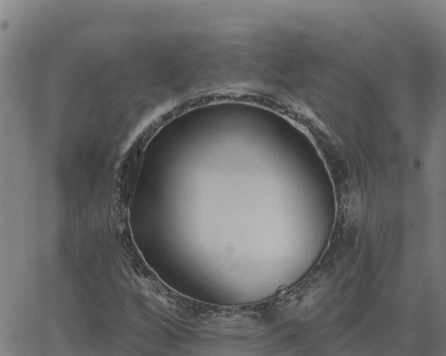 X0000062841256200601201629