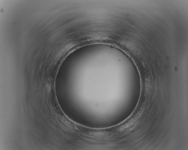 X0000062841257200601201629