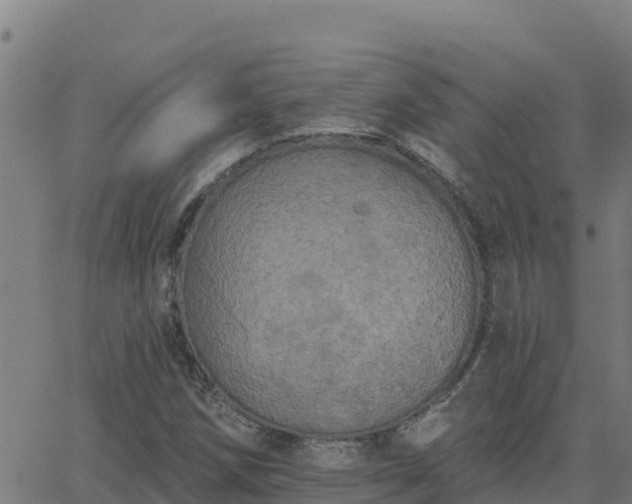 X0000062841258200601201629