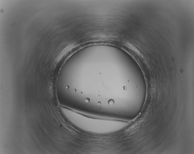 X0000062841259200601201629