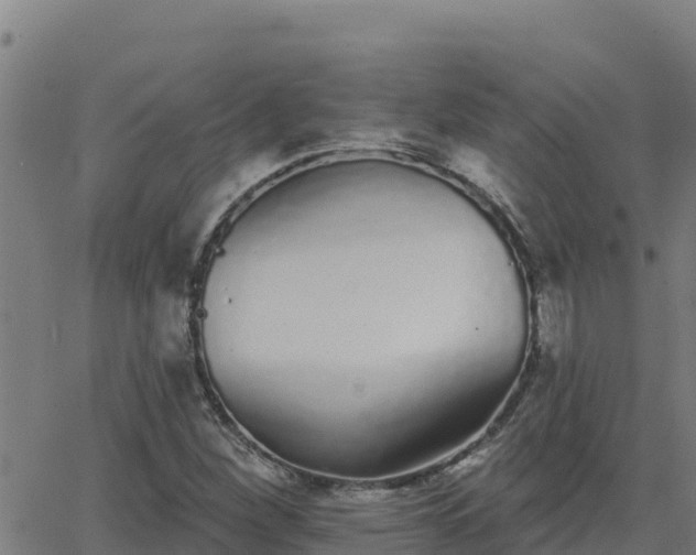 X0000062841260200601201629