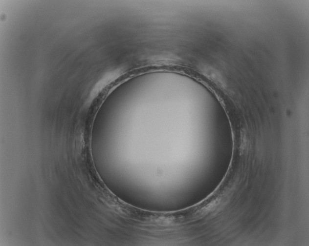 X0000062841261200601201629