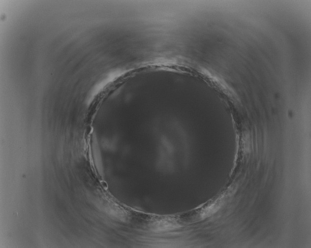 X0000062841262200601201629