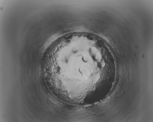 X0000062841263200601201629