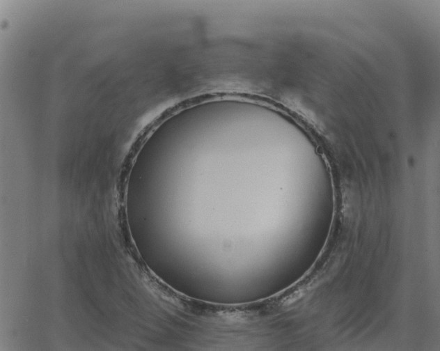 X0000062841264200601201629