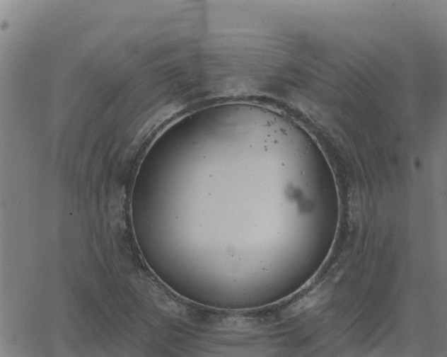 X0000062841265200601201629