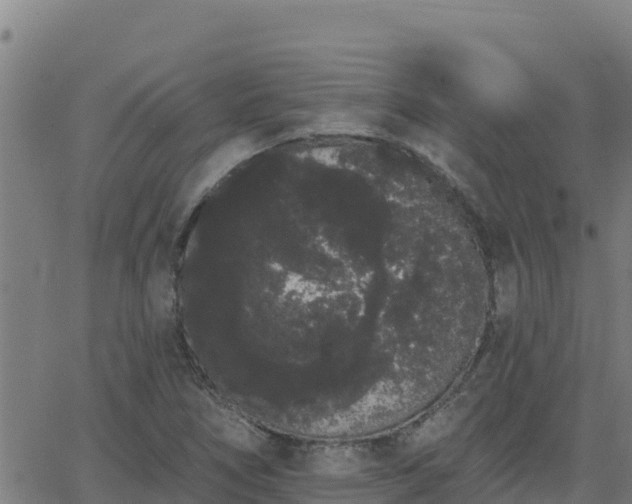 X0000062841266200601201629