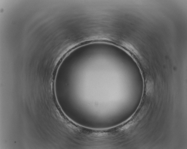 X0000062841268200601201629