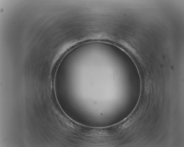 X0000062841270200601201629