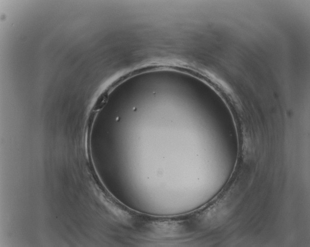 X0000062841272200601201629