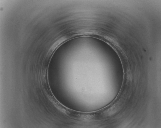 X0000062841273200601201629