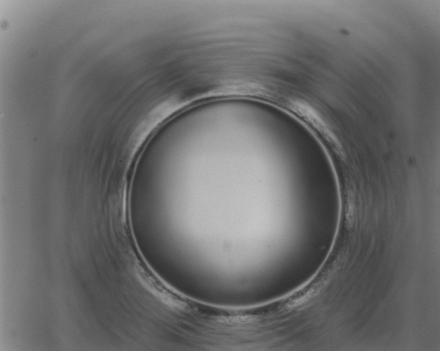 X0000062841276200601201629