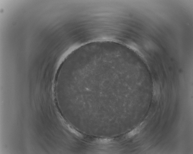 X0000062841278200601201629