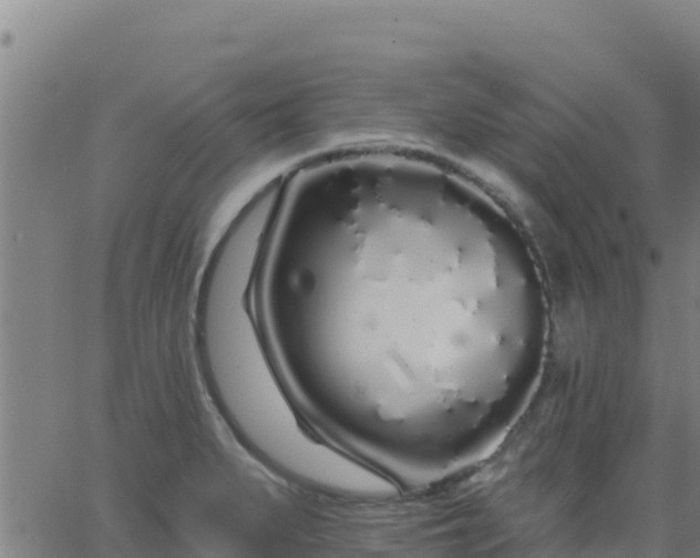 X0000062841279200601201629