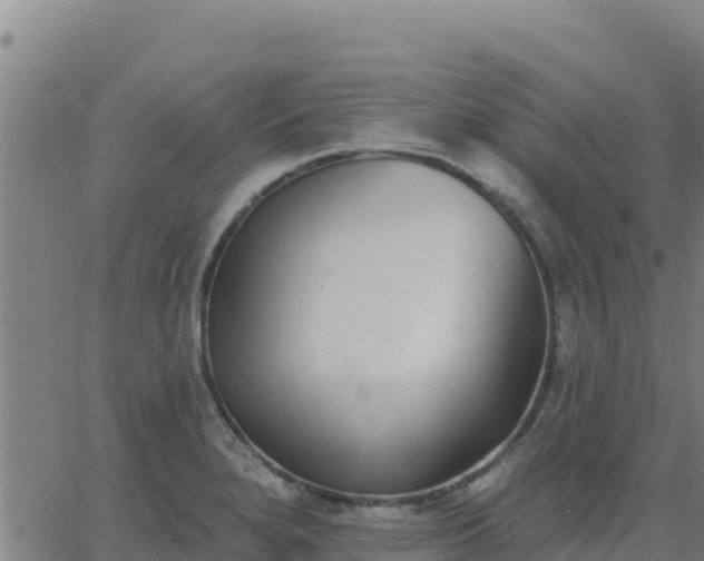 X0000062841280200601201629