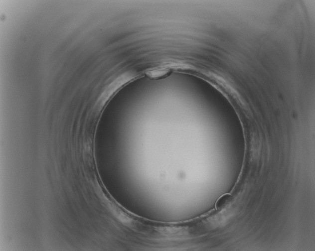 X0000062841281200601201629