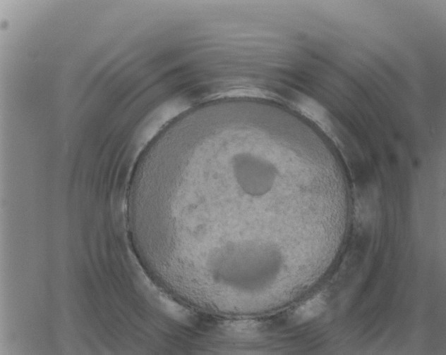 X0000062841282200601201629