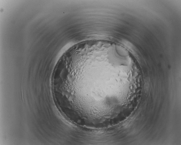 X0000062841283200601201628