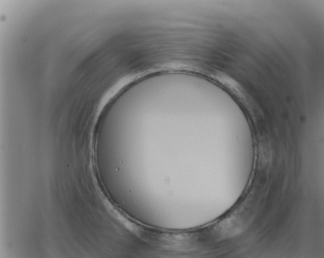 X0000062841286200601201628