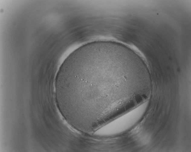 X0000062841287200601201628