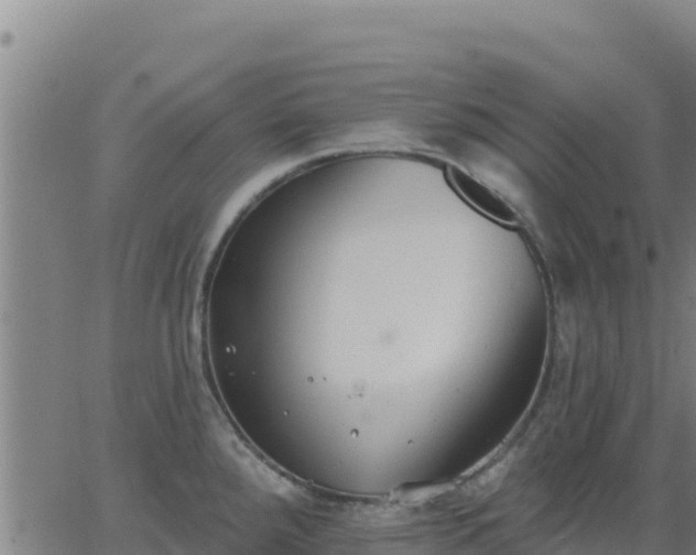 X0000062841288200601201628