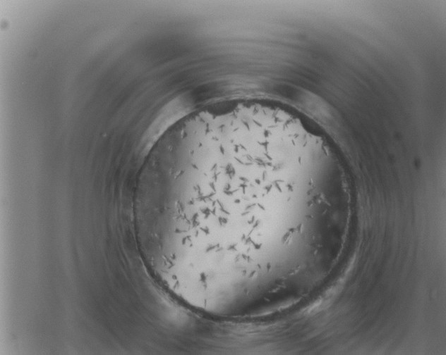 X0000062841289200601201628