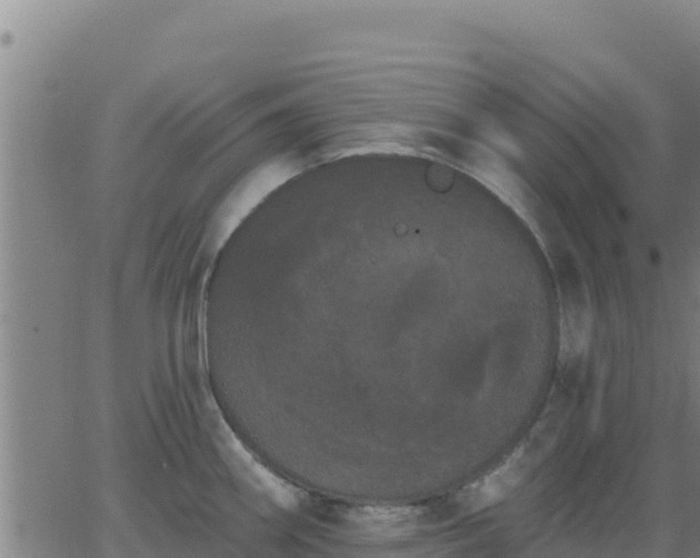 X0000062841290200601201628