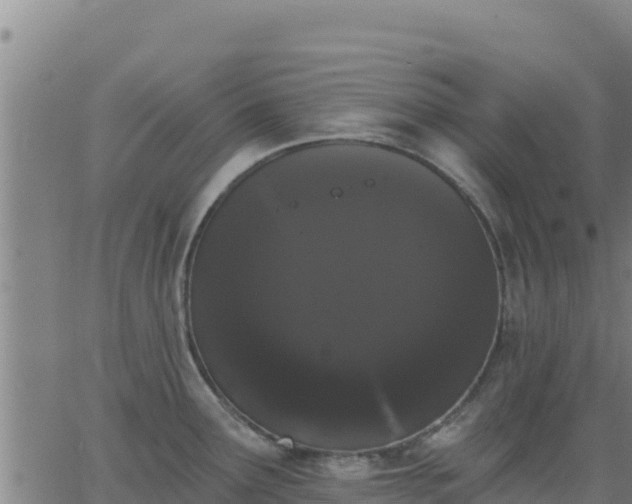 X0000062841291200601201628